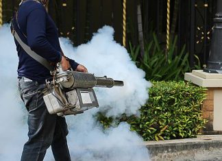 Habits And Misconceptions About Bed Bug Control Mosquito Control Singapore