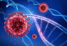 Körper und Leben, Unterbrechung und Unterbrechung durch Corona-Virus!