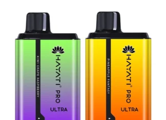 Discover the Best Disposable Vapes for Every Taste: A Comprehensive Review”